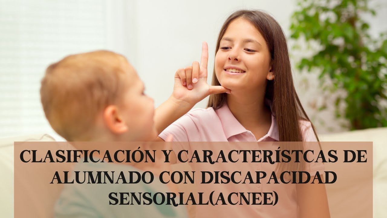 ALUMNADO CON NECESIDADES EDUCATIVAS ESPECIALES. Discapacidad sensorial
