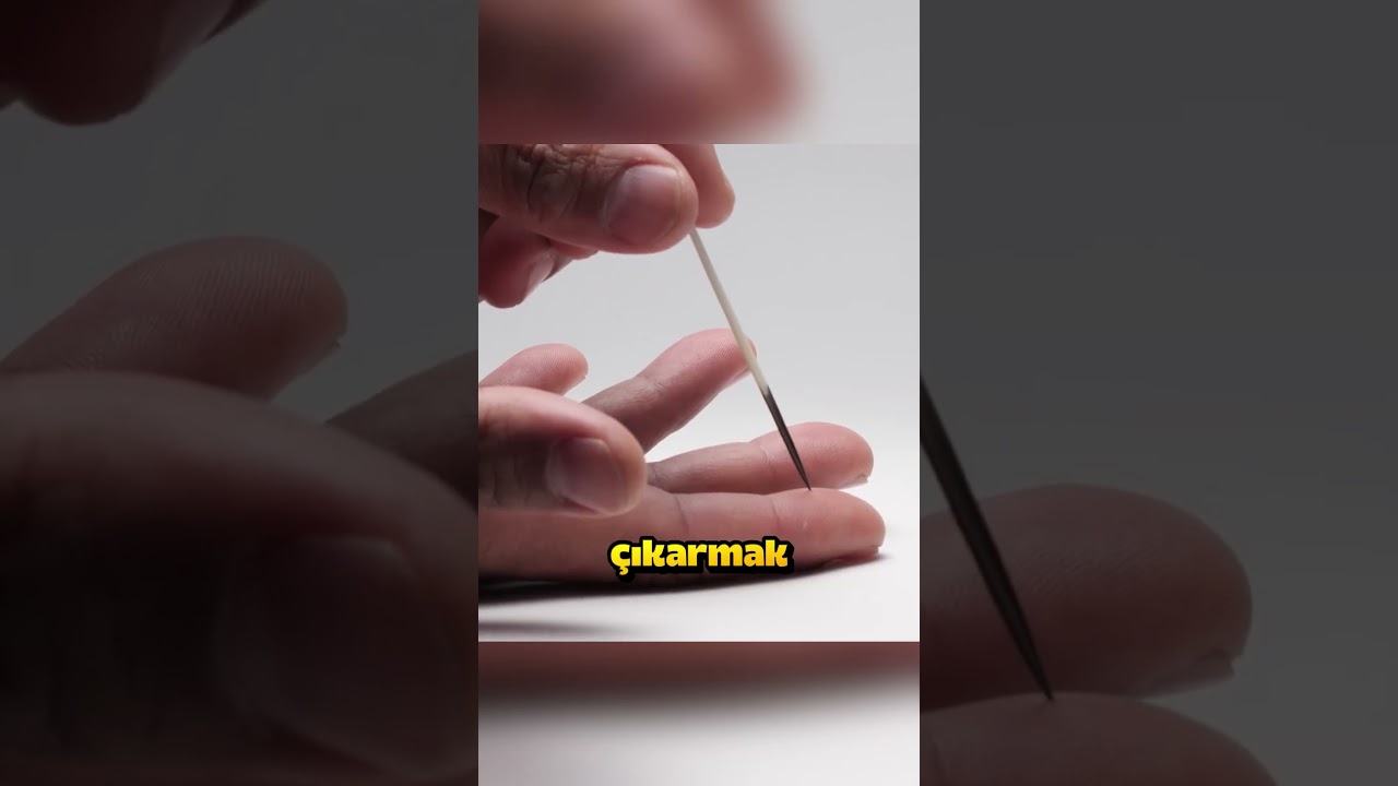 Kirpiler Neden Dikenlerini Fırlatır.. 🦔🤔