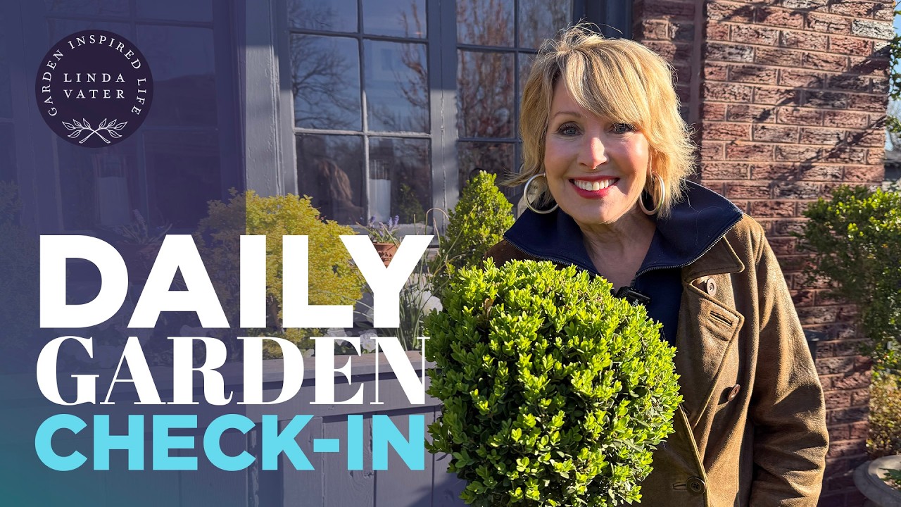My Daily Garden Check In | Linda Vater 🌿