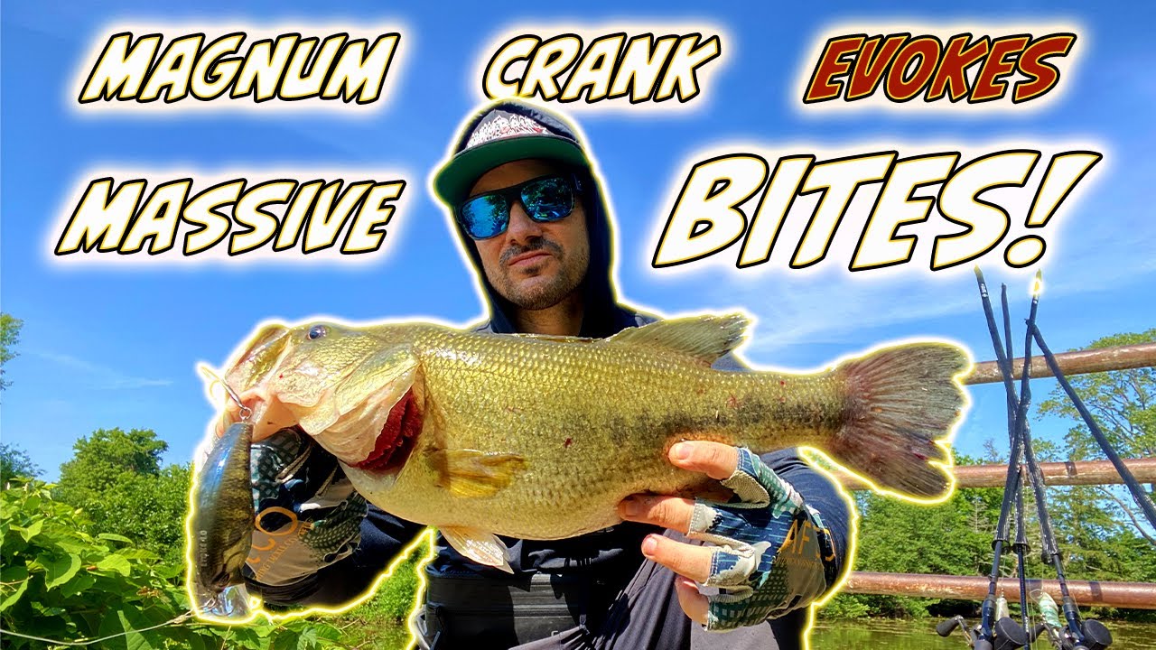 Is the Deps Evoke 4.0 the BEST MAGNUM CRANK out there?? Watch and FIND OUT!!