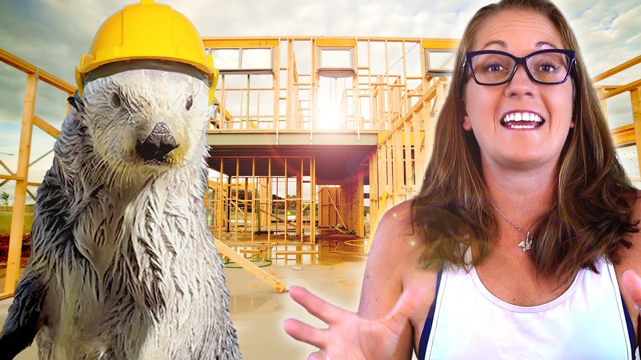 Help Build a MARINE LIFE Rescue Center!
