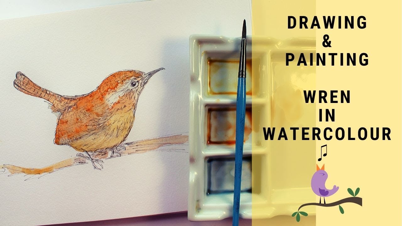 Ink and watercolour, drawing and painting a Wren. How to sketch a bird and create character.
