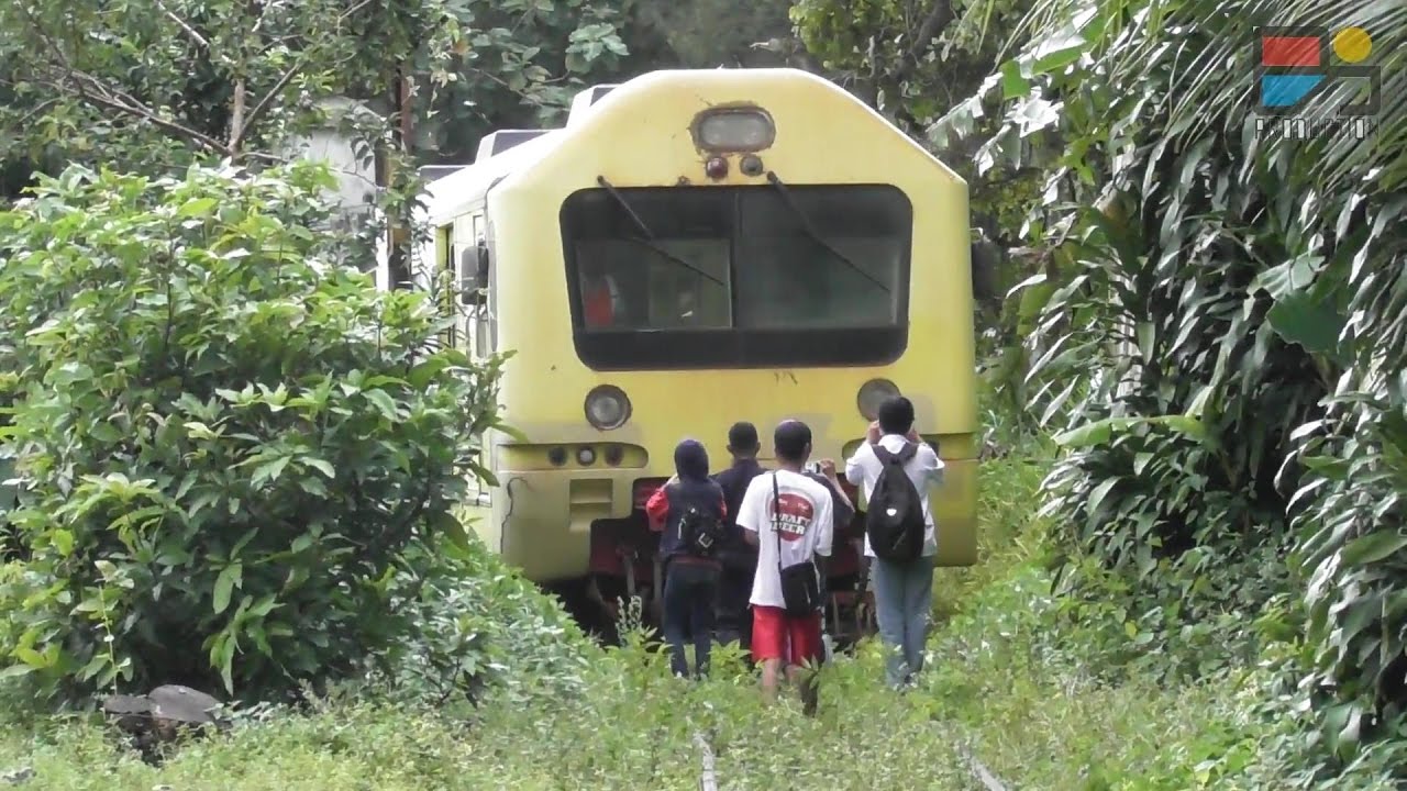 Nyaris Nabrak, KA Prameks Blusukan di Kampung dan Kebun!
