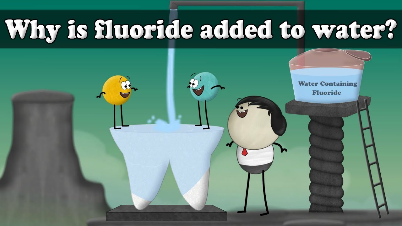 Why is fluoride added to water? | #aumsum #kids #science #education #children