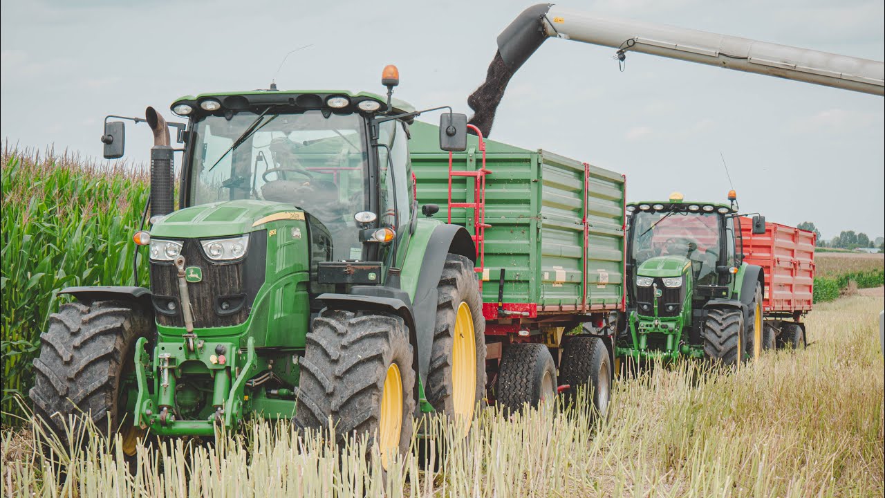 PUSTYNNE ŻNIWA RZEPAKU 2023 | CLAAS TUCANO 440 & 2X JOHN DEERE 6R | HARVEST 2023 |