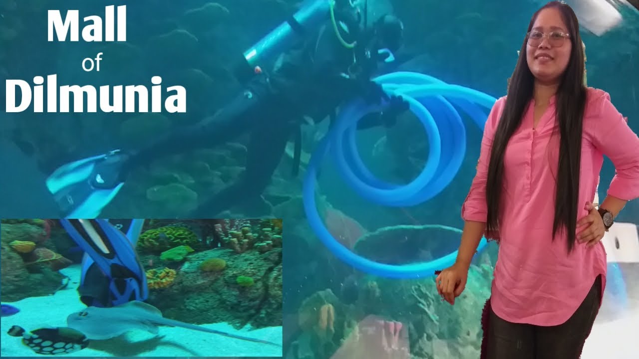 Mall of Dilmunia Aquarium // Newest Mall at Dilmunia Island // First Big Aquarium in Bahrain