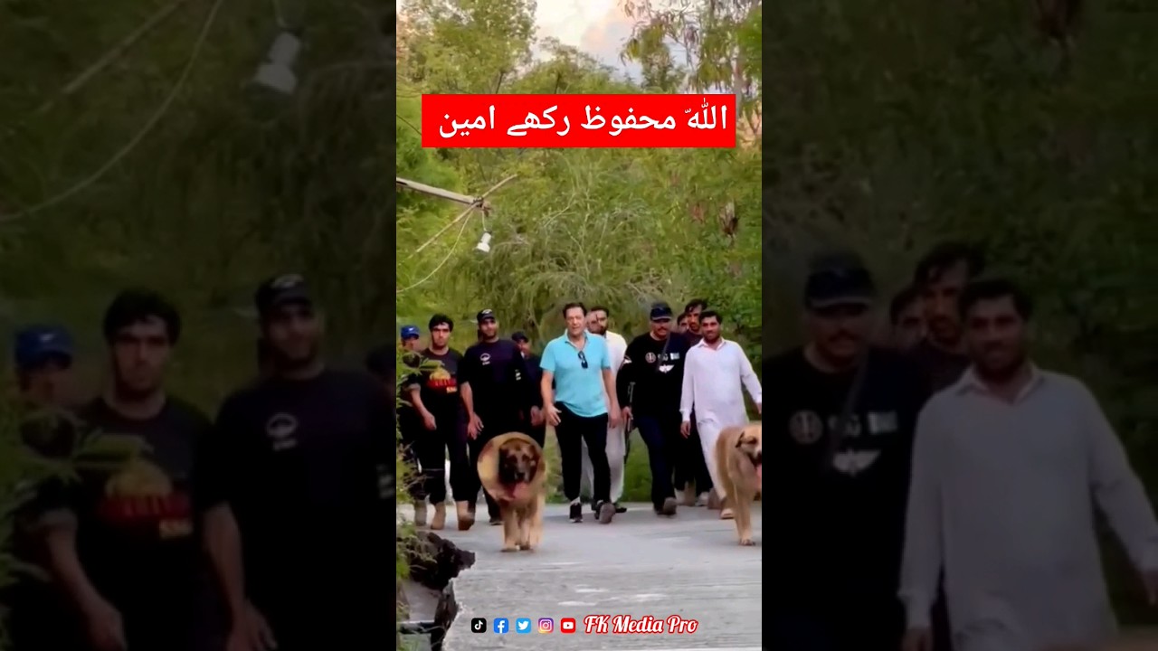 Imran Khan Entry Bani Gala #imrankhan #fkmediapro #viral