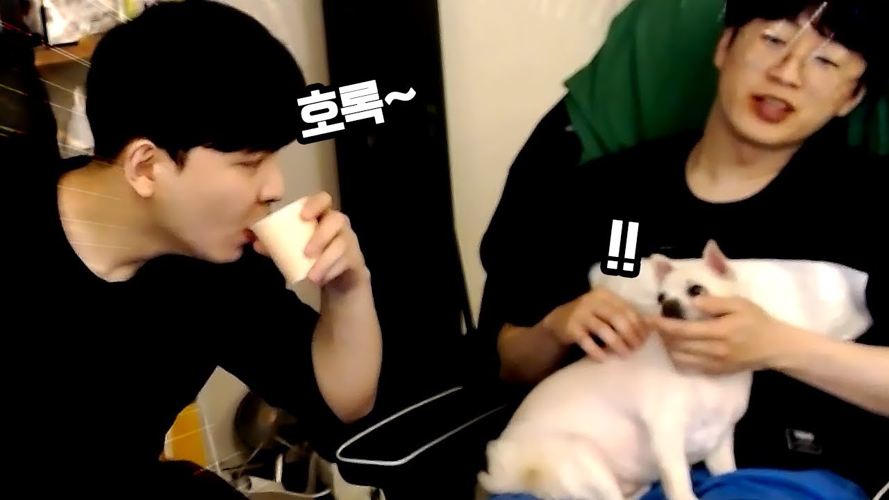 음식에 진심인 요염이