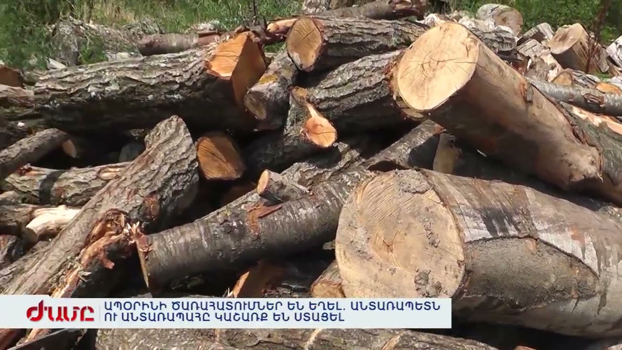 ՔԱՂԱՔԱՑԻՆ ՄՆԱՑԵԼ Է ՁՆԱՀՅՈՒՍԻ ՏԱԿ ՈՒ ՄԱՀԱՑԵԼ
