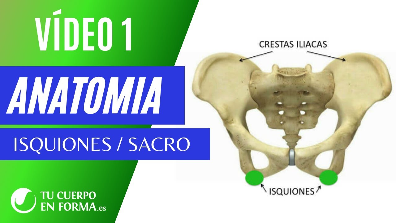 Vídeo nº1 ISQUINOES & SACRO -Anatomía & Activaciones Básicas /PILATES