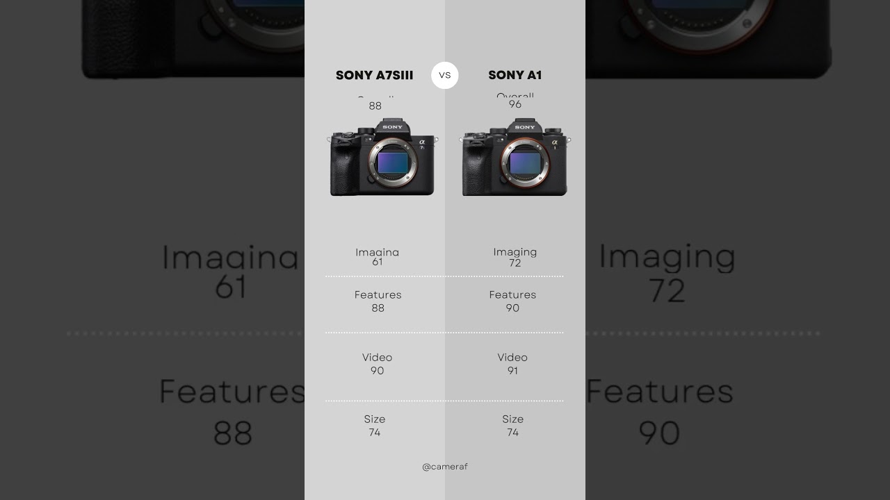 Sony A7SIII vs Sony A1  Camera Comparison! #sony #comparison #fullframe #photography #video #a1