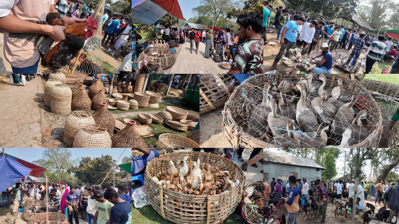 মুন্সীগঞ্জের বিখ্যাত গোয়ালীমান্দ্রা হাট | Village Market | Village Market In Bangladesh | hat bazar