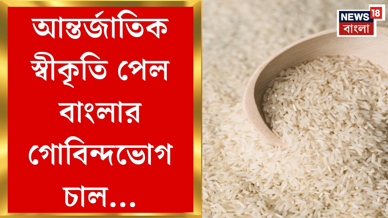 Rice Heritage | রাজ্যের মুকুটে নয়া পালক, ফের বাংলার প্রকল্পকে রাষ্ট্রসংঘের আন্তর্জাতিক স্বীকৃতি |