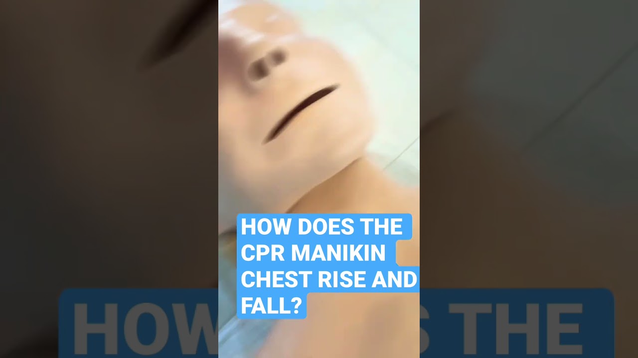 This is the inside of a CPR manikin looks like. #cpr #onlinecourses #shorts28 #rhianna  #riana