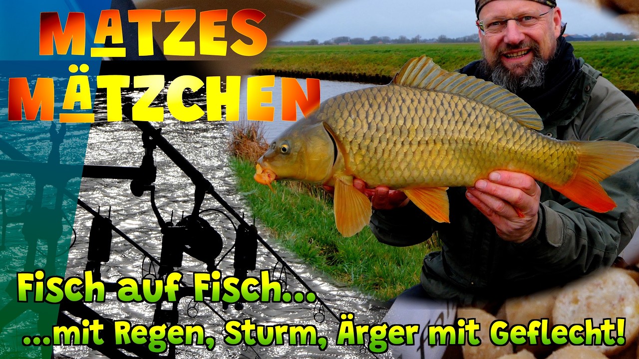 Matzes M&auml;tzchen - Futter weg -  Karpfen da!