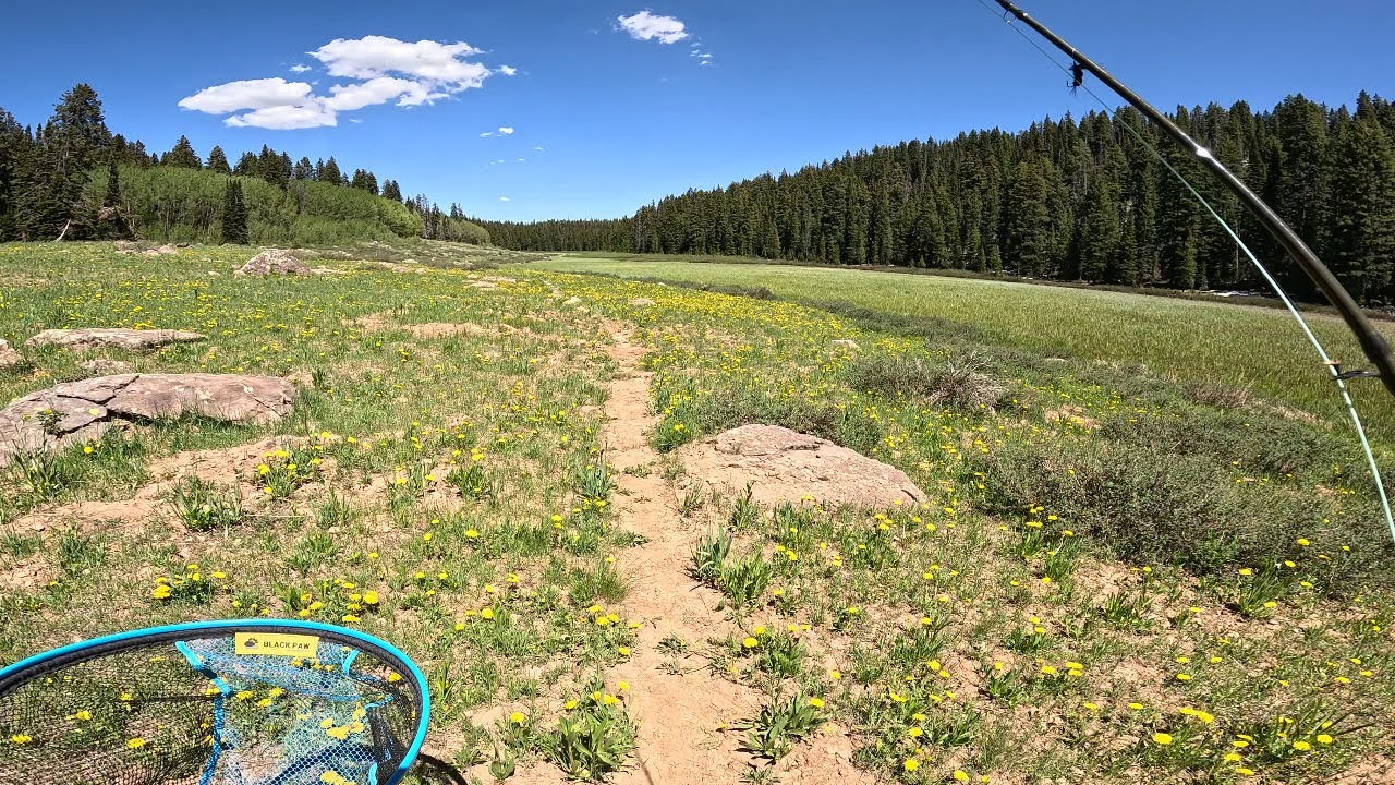 Grand Mesa, CO - Full Weekend of Camping, Hiking, and Fly Fishing (4k)