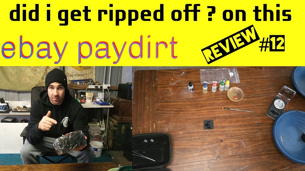 Ebay paydirt review (dans parts & more)