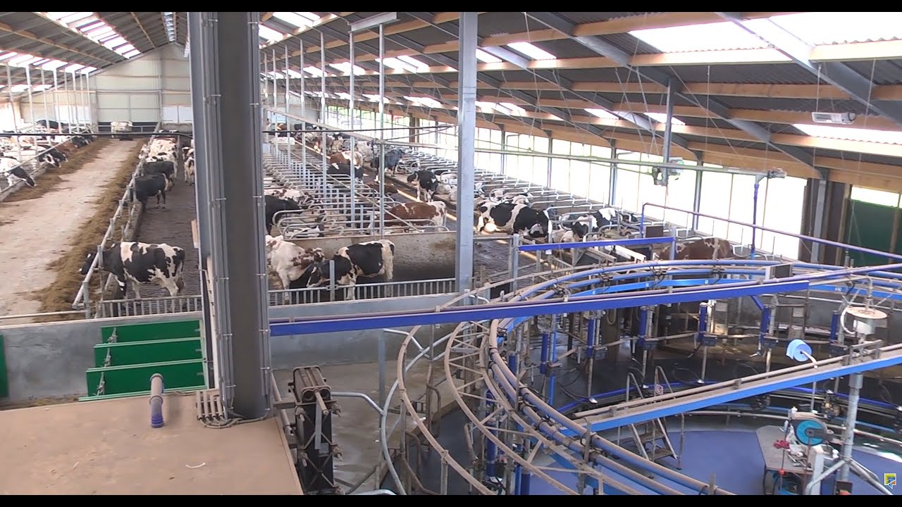 Nieuwe stal zonder luxe en verdubbeling veestapel bij Ruitenberg - www.melkvee.nl