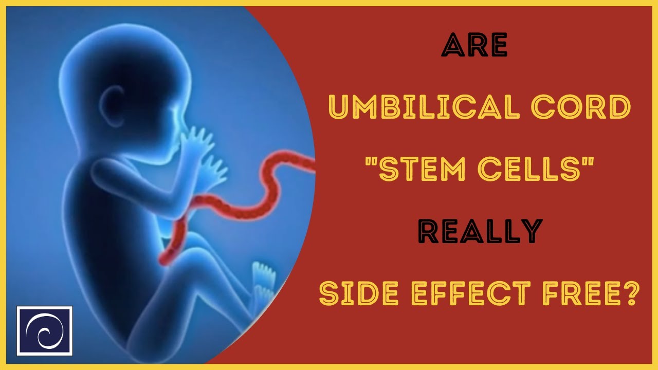 Are Umbilical Cord Stem Cells Really Side Effect Free?