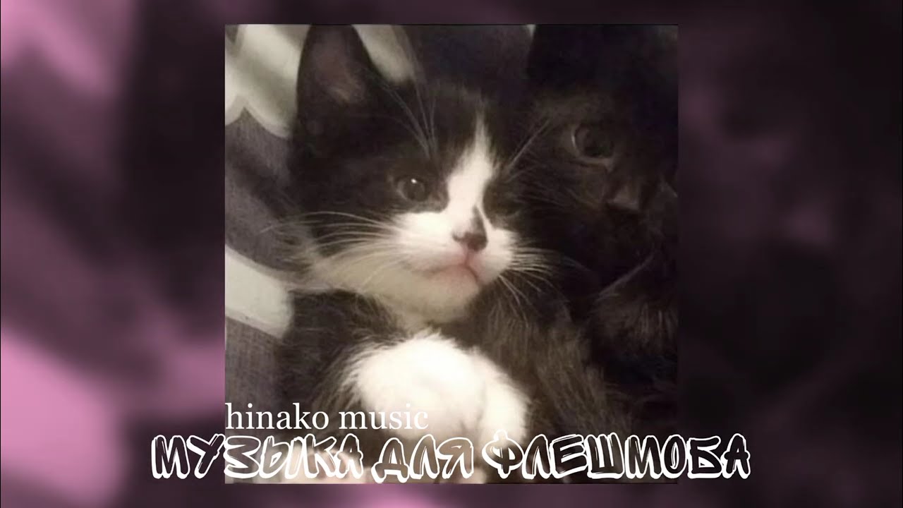 ☉ Музыка для Флешмоба ☉ hinako music