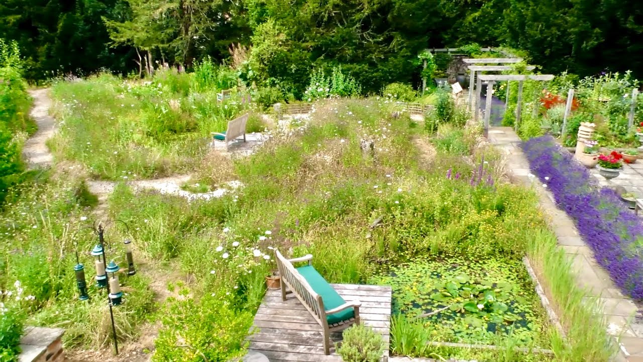 Garden Makeover as Featured on BBC Gardener's World - A Wildlife Garden