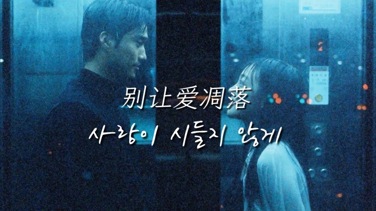 요즘 틱톡에서 계속 들리는 노래 my love..🎧 | 别让爱凋落 (사랑이 시들지 않게) 가사해석 don't let me love fade away