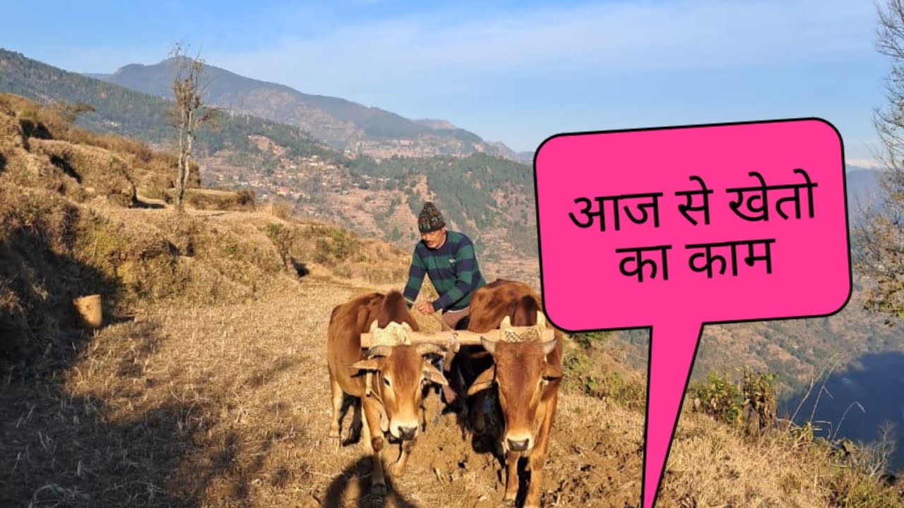 आज से खेतो का काम #देवभूमि #उत्तराखंड #चमोली 🥰🥰🥰🥰🥰🥰