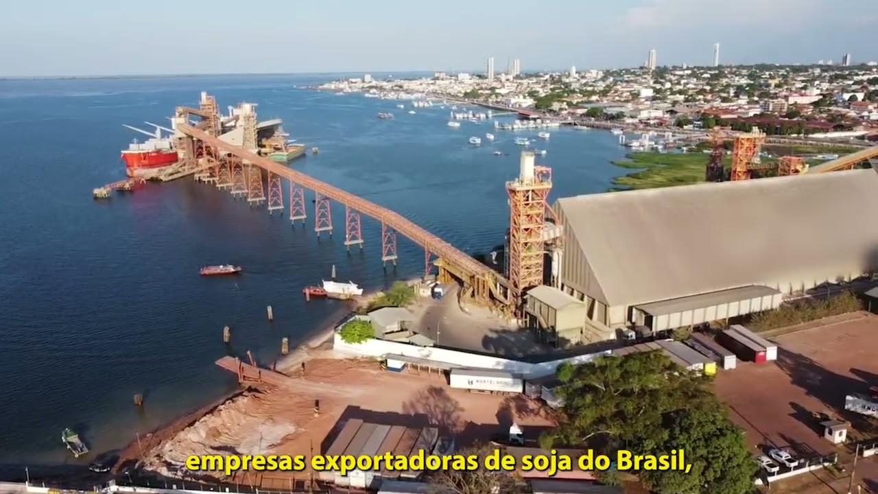 Webdocumentário 