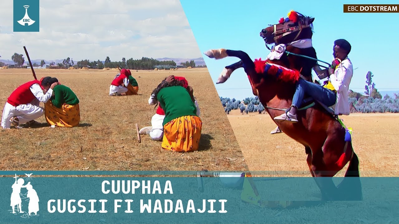 CUUPHAAGUGSII FI WADAAJII etv |Ebc |Etv Afaan Oromoo| etv |Ebc |Etv Afaan Oromoo|