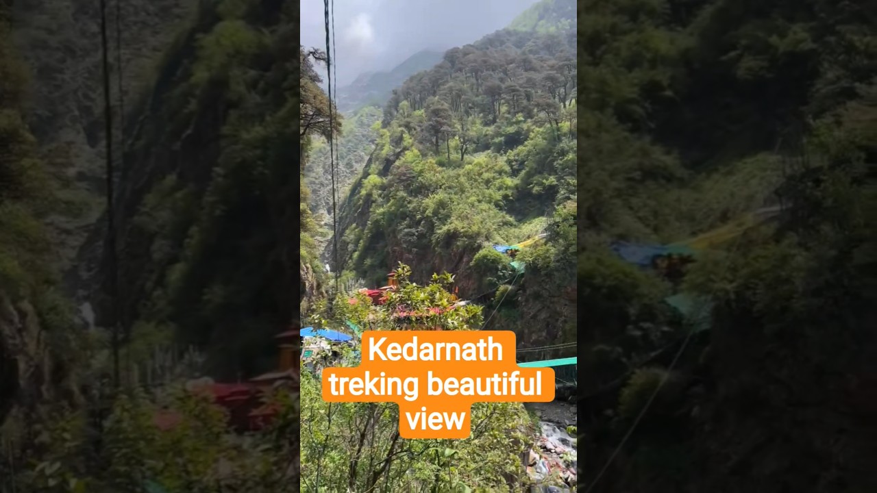 #jaishreekedar #kedarnathview #ytshorts #youtubeshorts