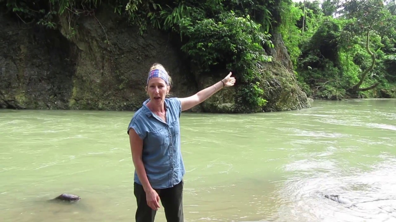 Zookeeper Amy in Gunung Leuser National Park in North Sumatra