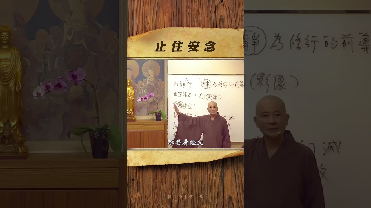 止住安念 #禅悟人生 #禅修养心 #修心修行 #智慧认知 