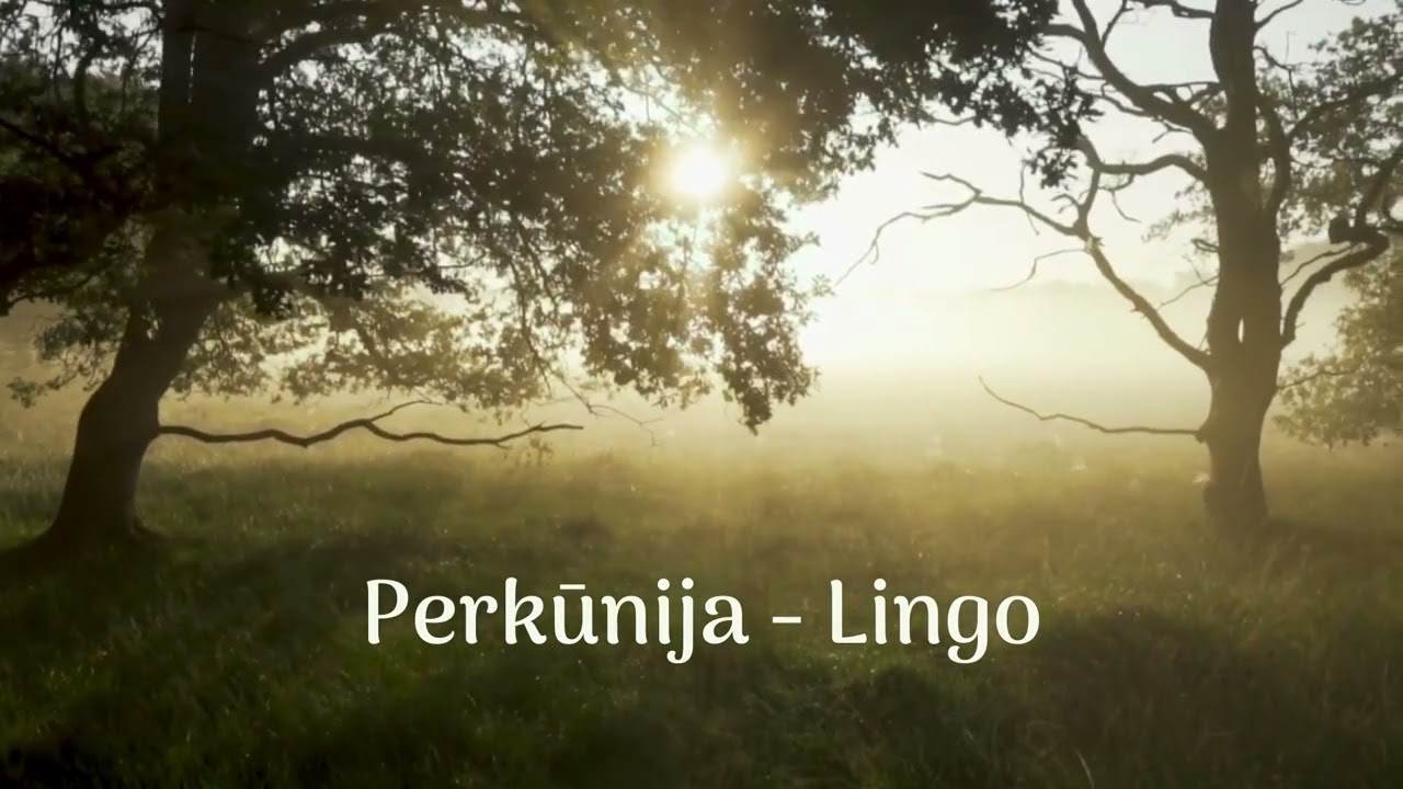 Perkūnija - Lingo