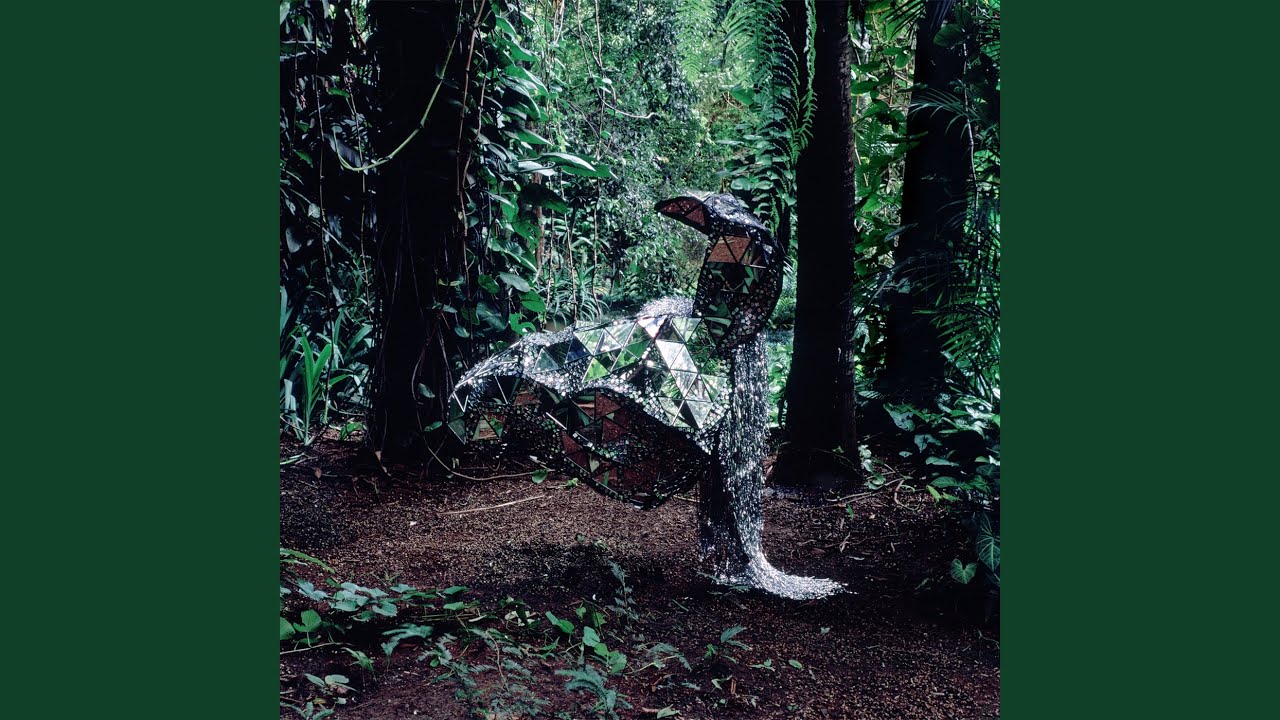 How I Became Paranoid