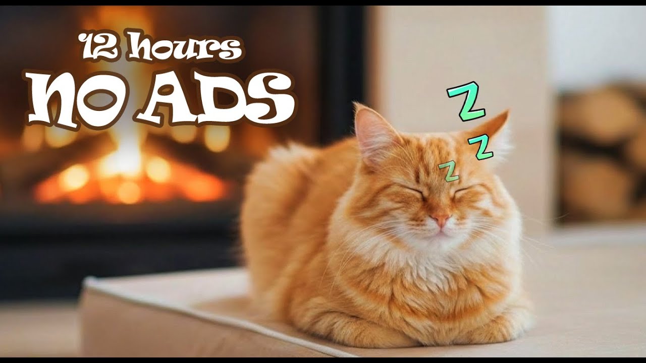 12 Hours UNINTERRUPTED Sleep Music for Cats 🌙 Deep Calm & Relaxation for Cat at Night