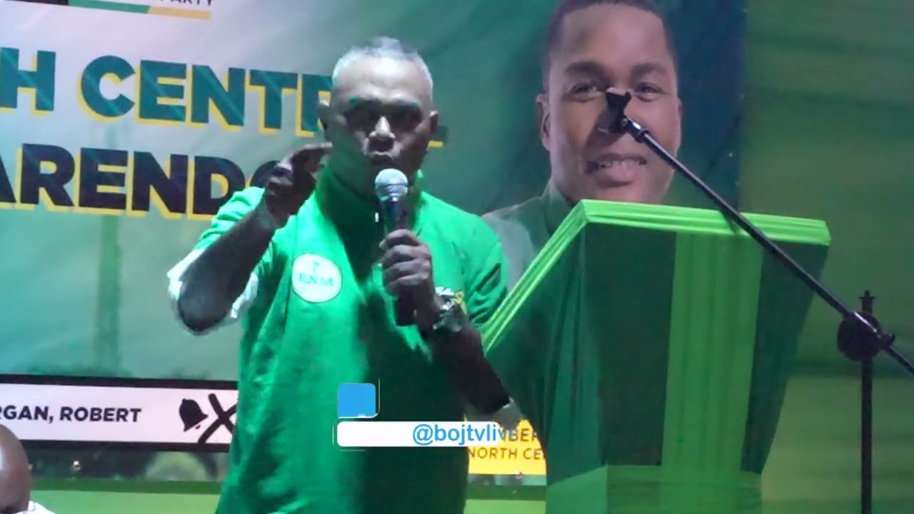 Michael Stern |Full Speech | JLP Chapelton Divisional Conference | March 9 2025