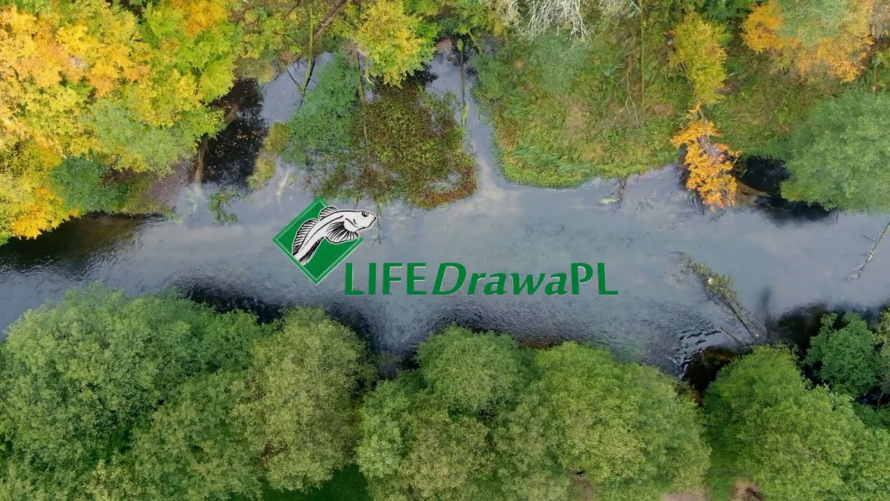 Film promocyjny LifeDrawaPL