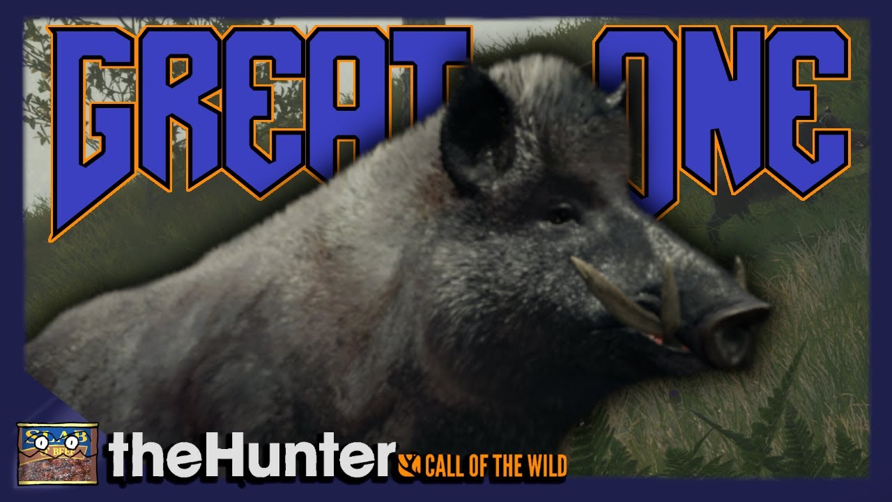 WE GOT A GREAT ONE WILD BOAR!! | theHunter: Call of the Wild