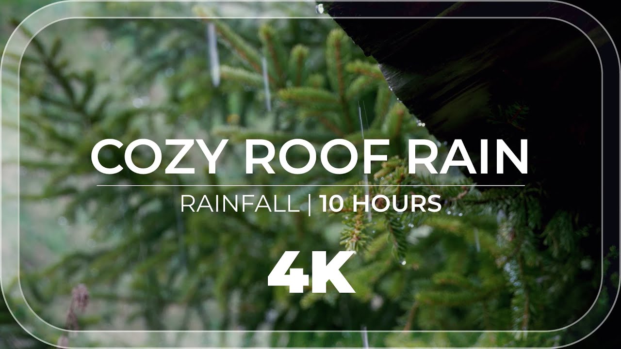 Cozy Roof Rain | 10 Hours of cozy sheltered rain