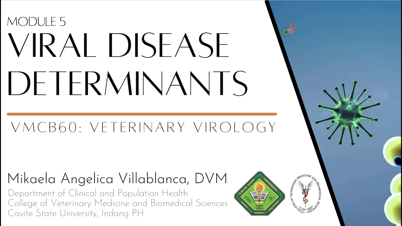 VMCB60 Modules 5-6: Determinants and Pathogenesis of Viral Disease