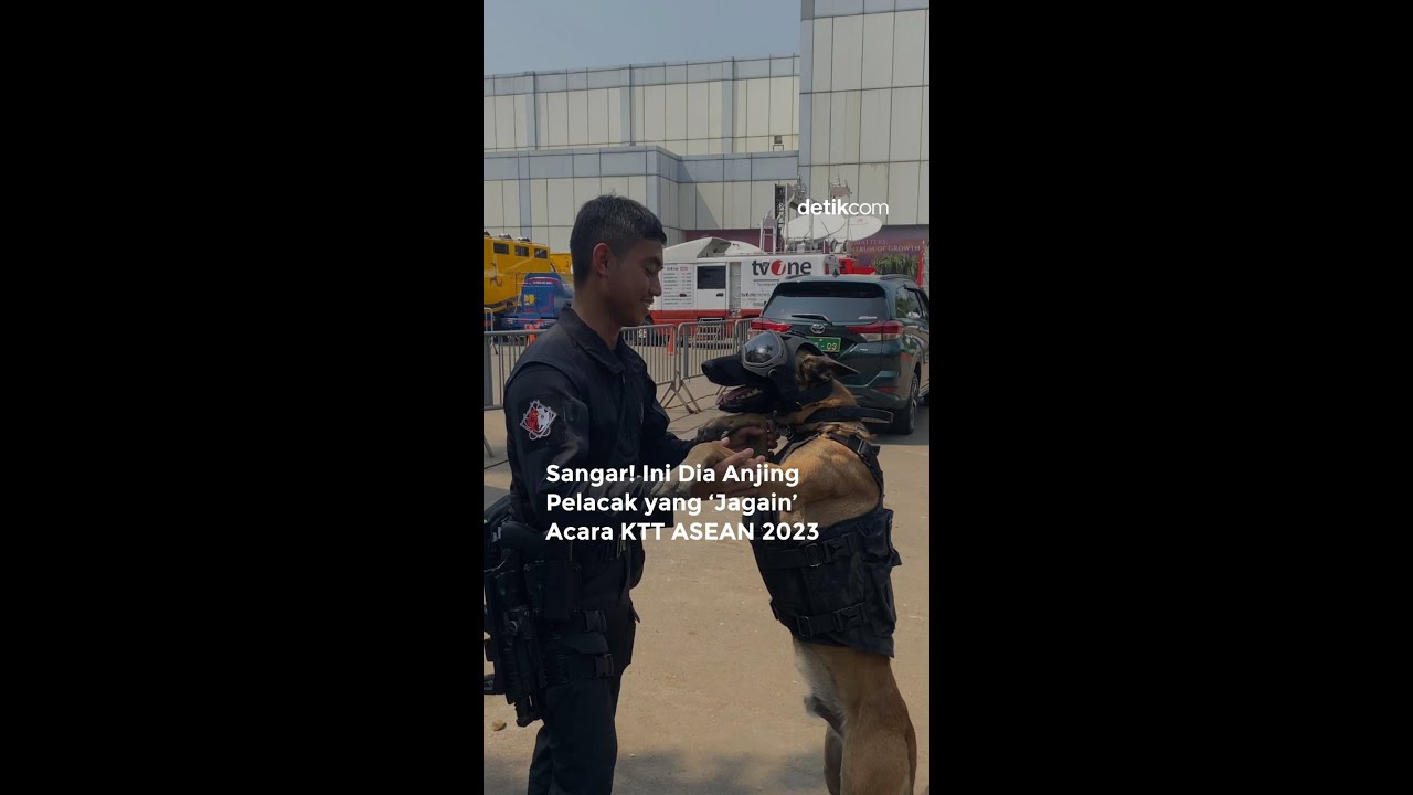Sangar! Anjing-anjing Milik Kopassus Penjaga Keamanan KTT ASEAN M