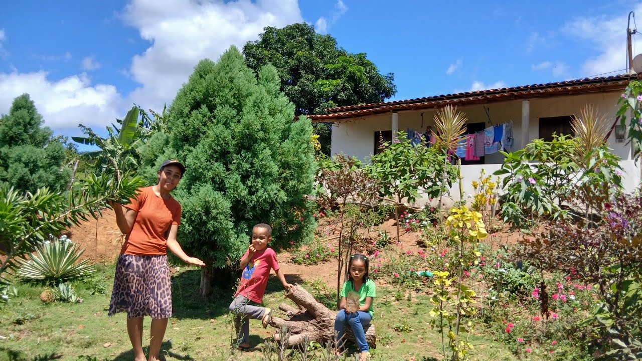 DIA DE PEGAR FRUTAS🥬🍒🍌 PRA VENDER NA FEIRA- LIVRE /NOSSA VIDA SIMPLES NA ROÇA.