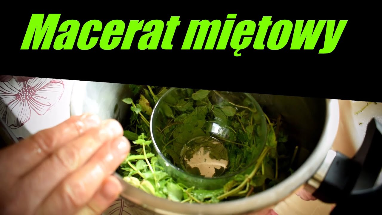 Jak zrobić Hydrolat miętowy - do krem&oacute;w, tonik&oacute;w