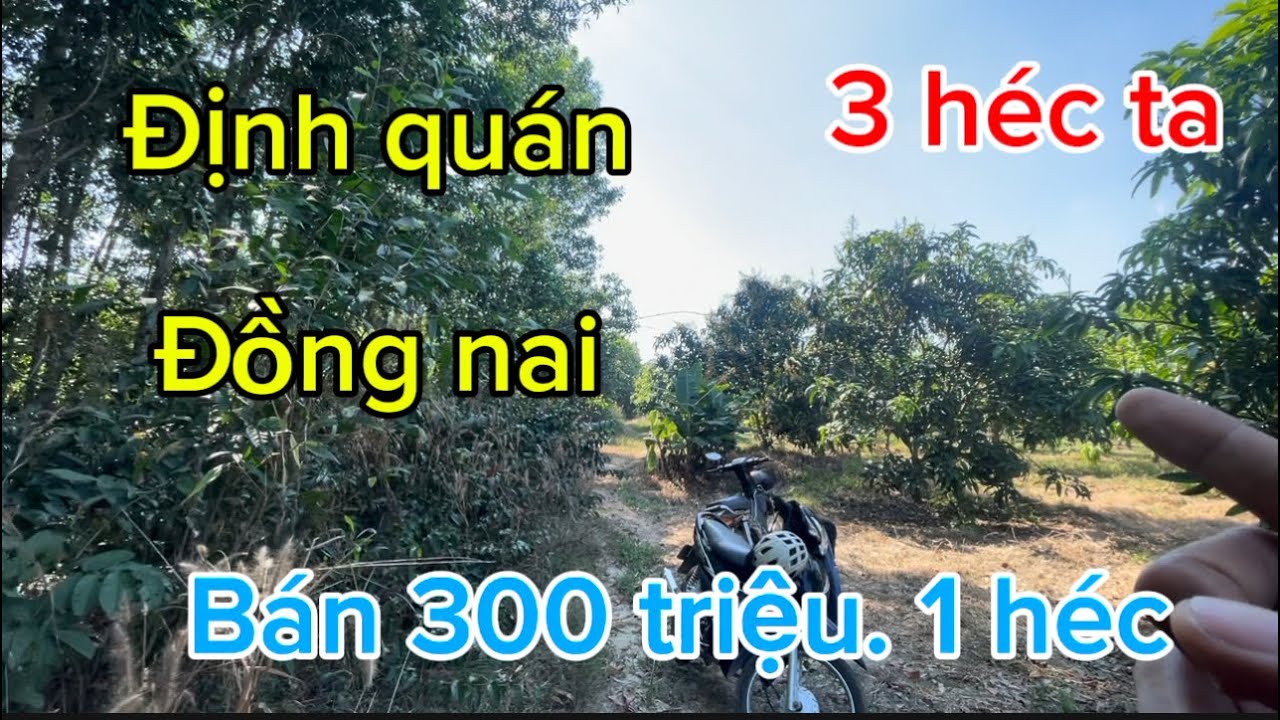 Cần bán 3 héc ta đất nông nghiệp giá rẻ phù hợp trồng mọi loại cây ăn trái giá chỉ 300tr. 1 héc 