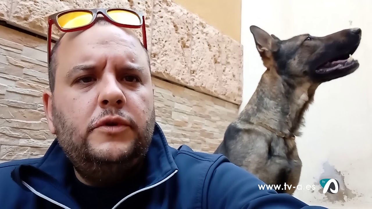 Notícia increment detecció drogues UCAN Policia Local Cocentaina 4 febrer 2021