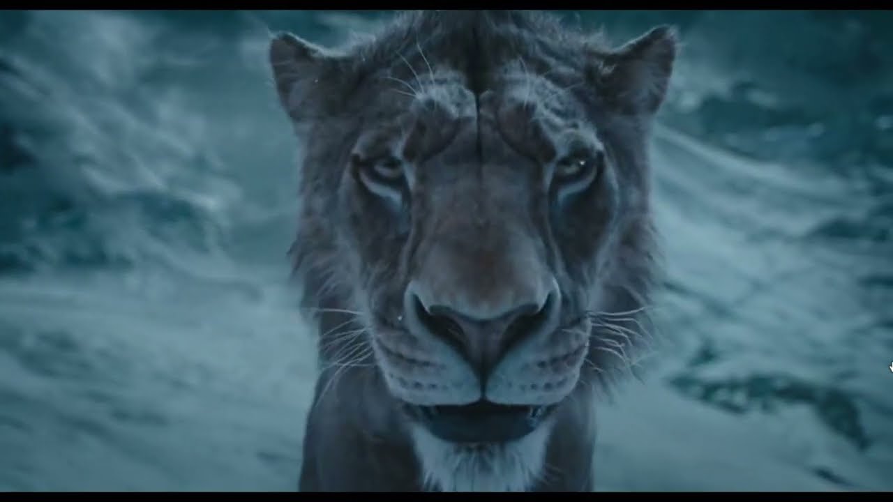 Kelvin Harrison Jr. - Brother Betrayed (From 