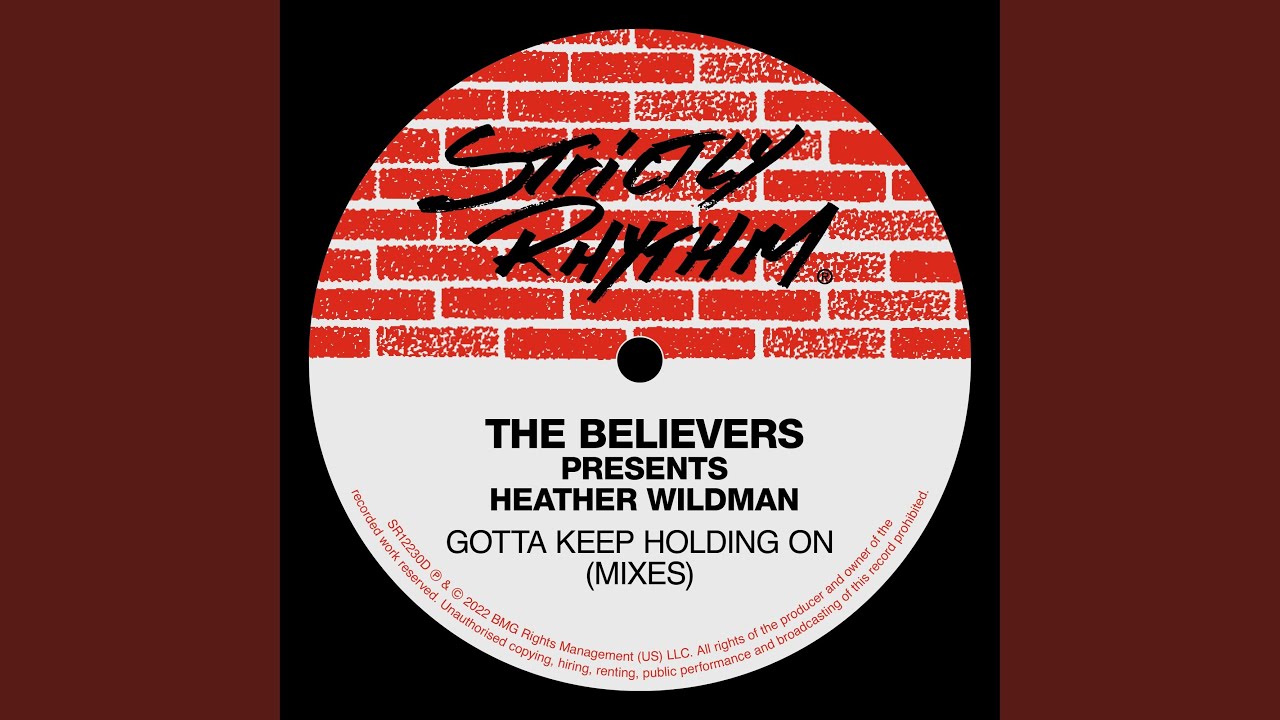 Gotta Keep Holding On (Roy's Red Cat Mix)