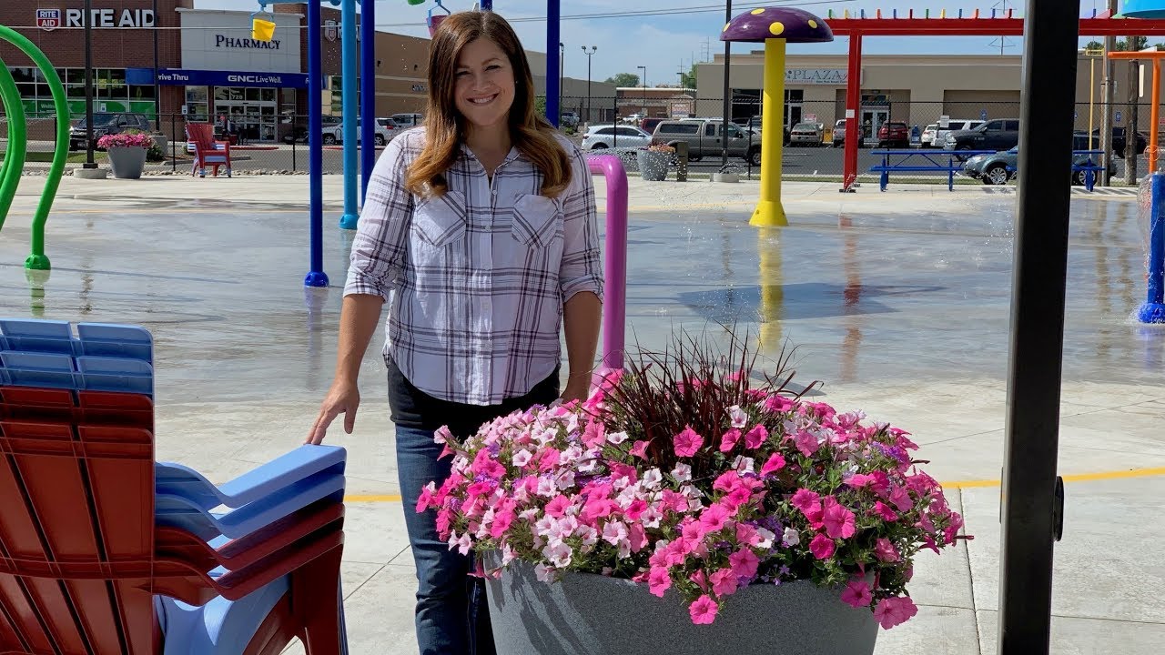 Splash Pad Containers: One Month Update! 🌸🙌// Garden Answer