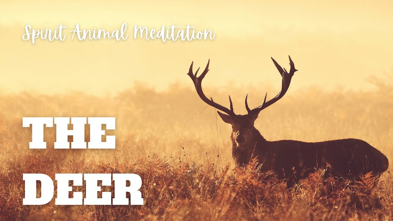 Deer Spirit Animal Meditation: 20-Minute Journey to Peace and Harmony