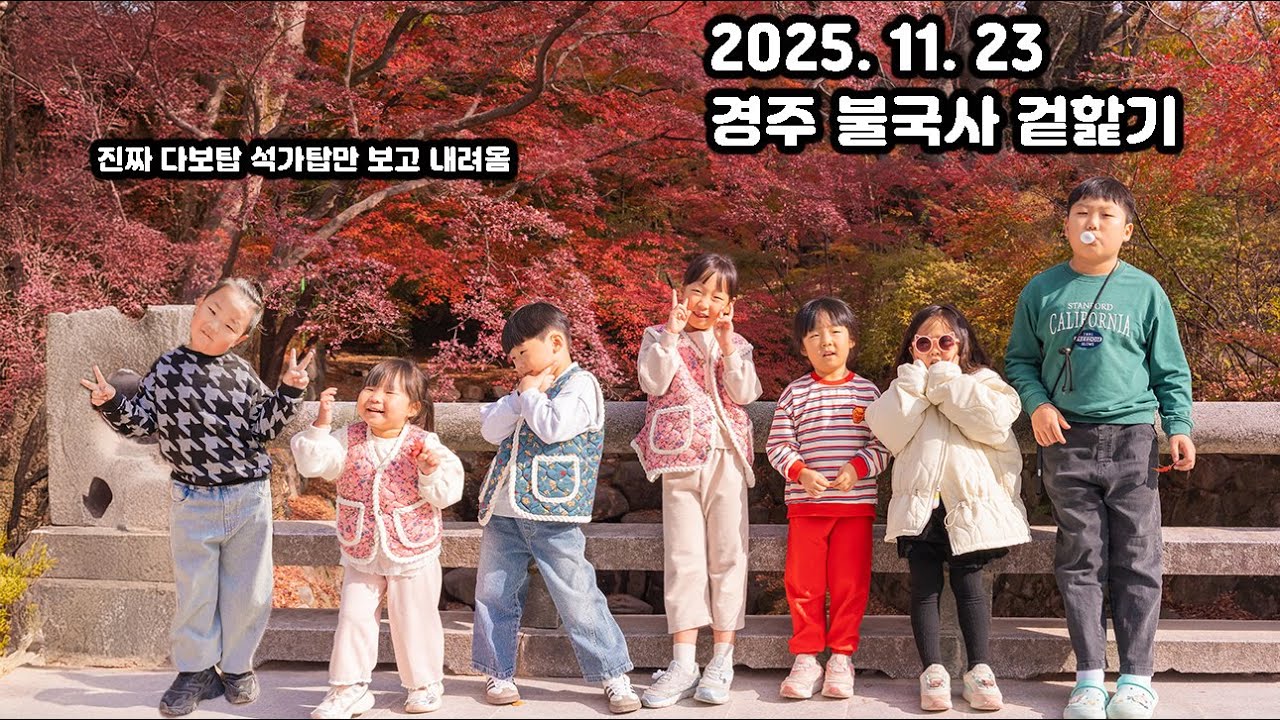 2025. 11. 23 알맹이 없는 불국사 겉핥기 4k